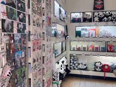 -熊猫邮局(少城店)
