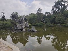 -东莞植物园