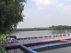 -北陵公园
