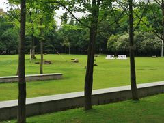 -上海财经大学(国定路校区)