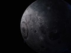 -贝林大翅鲸简餐厅(国家海洋博物馆店)