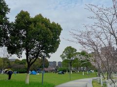 -映月湖中央公园