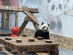-无锡动物园·太湖欢乐园