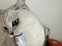 -小巨场咖啡