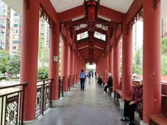 -温江公园