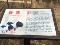 -昆山城市生态森林公园