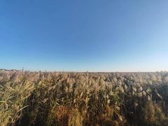 -红海滩国家风景廊道