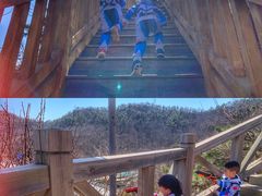 -南山健身公园