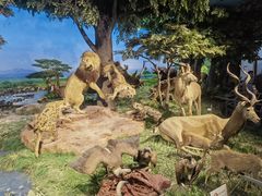 -国家自然博物馆