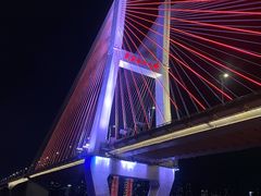 -武汉知音号