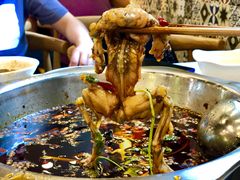 -大味美蛙鱼头火锅(高水店)