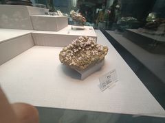 -湖南省地质博物馆