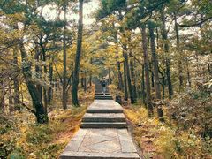 -含鄱口