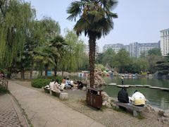 -西苑公园
