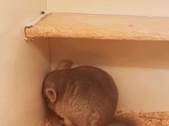 -龙猫仔乐园(惠福东路店)