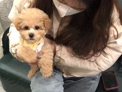 -猫爷宠物生活馆·撸猫馆