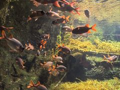 -太平洋海底世界