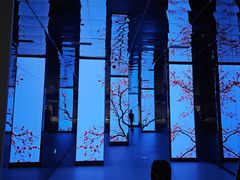 -中国湿地博物馆