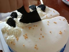 -古松森林生日蛋糕·冰淇淋·动物奶油(望城店)