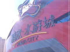 -鹏欣水游城