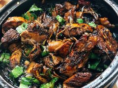 肉骨茶干锅-新记肉骨茶
