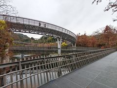 -福道