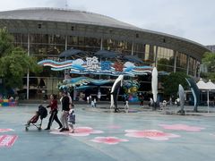 -海合安成都极地海洋公园