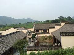 picture-帐篷客·溪龙茶谷度假酒店