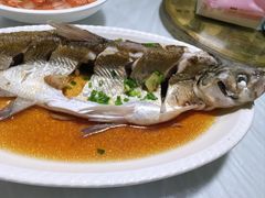 -小六农家乐(崇明西沙湿地店)