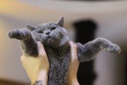 店内环境-飛凡TATTOO纹身•原创