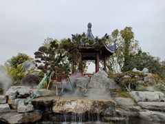 -东莞植物园