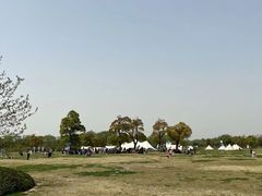 -苏州太湖国家湿地公园