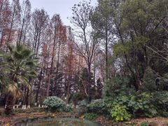 -苏州河梦清园环保主题公园