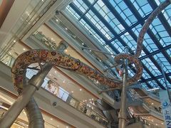 -巴黎春天(浦建店)