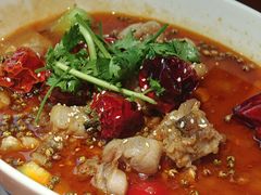 -杨氏青龙虾·羊蝎子(金盛路总店)