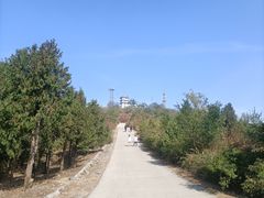 -北京西山国家森林公园