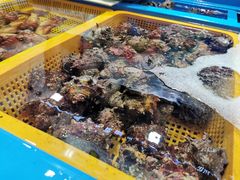 -西归浦每天偶来市场