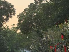 -长洲岛都市农业公园