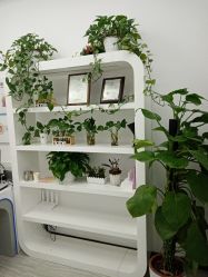 点击看大图 -悟空祛痘·亚健康皮肤管理中心