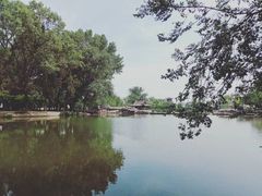 -晋祠公园
