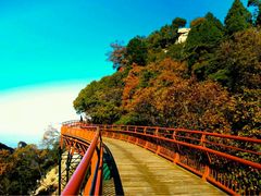 -少华山国家森林公园