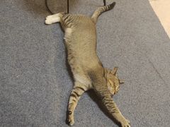 -旅程琴行吉他培训·吉他专卖