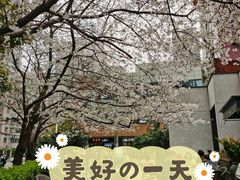 -玛格萝妮比萨屋(四平店)