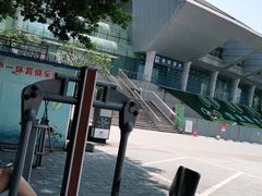 -重庆市奥林匹克体育中心-游泳跳水馆
