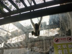 -南昌动物园