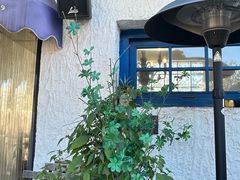 -Sirena海妖日咖夜酒