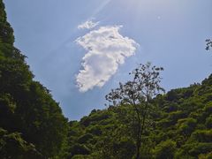 -少华山国家森林公园