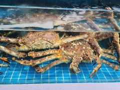 -本达人海鲜烧烤·朝鲜族风味(发展店)