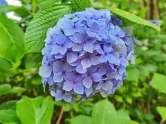 -观山湖公园