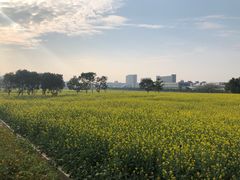 -光明小镇欢乐田园